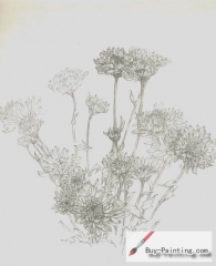 Custom Drawing-Wild chrysanthemum