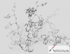 Custom Drawing-Sketch of flowers