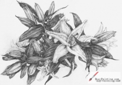 Custom Drawing-Lily
