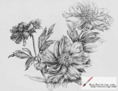 Custom Drawing-Three flowers
