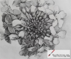 Custom Drawing-Passion flowers