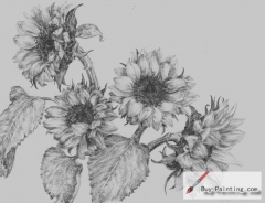 Custom Drawing-Sunflowers